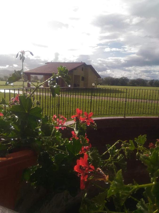 Agriturismo Oasi Del Pianettino Campagnatico Dış mekan fotoğraf