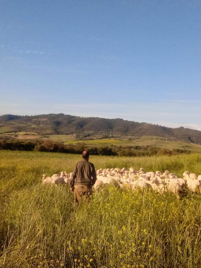 Agriturismo Oasi Del Pianettino Campagnatico Dış mekan fotoğraf