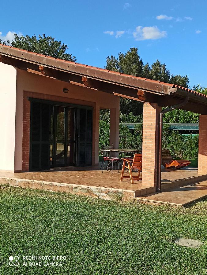 Agriturismo Oasi Del Pianettino Campagnatico Dış mekan fotoğraf