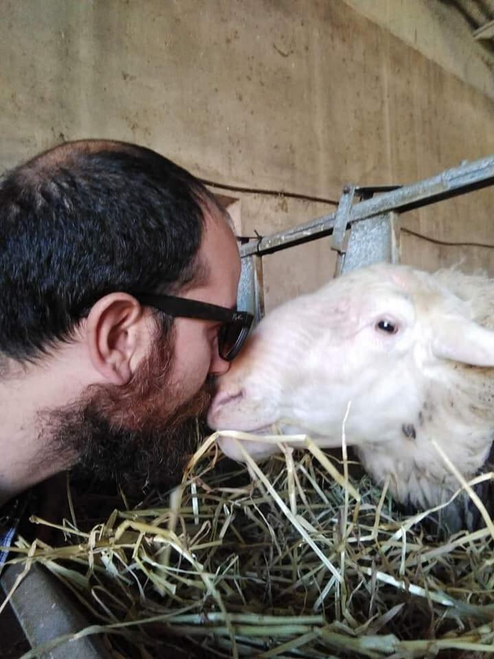 Agriturismo Oasi Del Pianettino Campagnatico Dış mekan fotoğraf